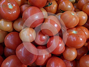 a close up of tomatoes at the rack