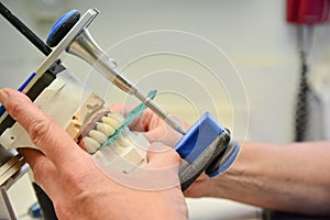 Close up Tooth Hygienists