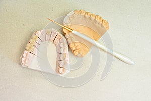 Close up Tooth Hygienists