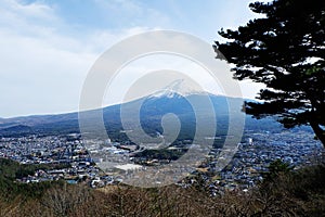 Close up top of beautiful Fuji mountain with snow cover on the top with could and cherry blossom in Japan and pine tree