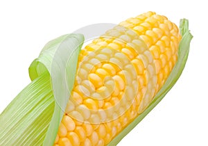 Close-up top corn cob isolated on white background