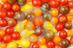 Close up, top down view of fresh, organic mixture of red, orange, yellow and black cherry and pear tomatoes