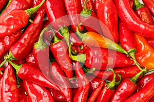 Close up, top down view of many red hot chili peppers, left for drying. Macro healthy food background