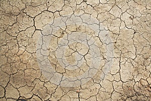 Top view of arid land with dry cracked ground