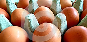 Close up top view of fresh brown eggs laid in a egg box. Diet, protein and health concept