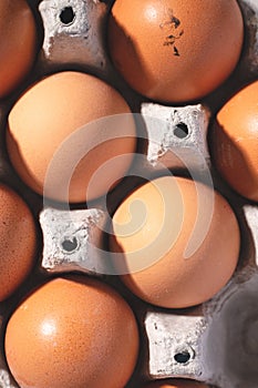 Close up top view on fresh organic chicken eggs in cardboard box
