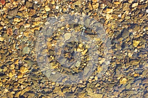 Close-up and top view of shiny transparent yellow sand and stones on the beach with clear water. clear sea, the river