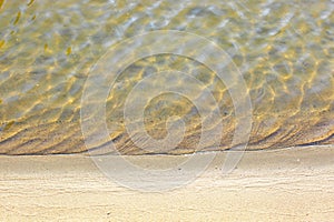 Close-up and top view of shiny transparent yellow sand and stones on the beach with clear water. clear sea, the river