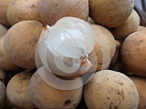 close up topical duku fruit