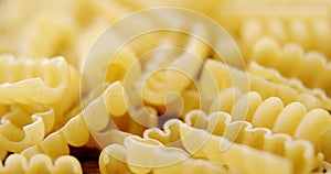 Close-up of torchietti pasta