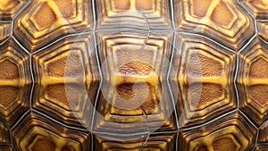 Close-up of a tortoise shell showcasing its unique, textured pattern