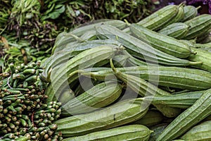 The close-up of towel gourd.