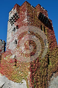 Close up of the tower garden