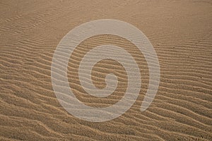 Close up of Track Marks of Water on Beach Sand