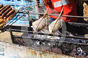 Close up of traditional barbecue street food with two fishes on skewers on charcoal grill - Vang Vieng, Laos