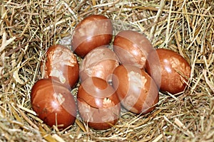 Close up on traditional Traditional Easter eggs reddened with traces of parsley leaf