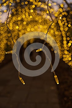 Close up of trailing Christmas lights in an illuminated arched walkway.