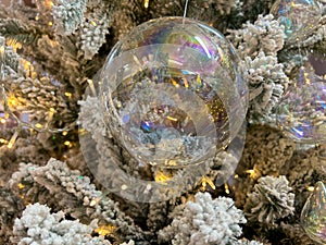 Close up of transparent bauble on christmas tree