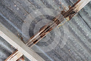 Close-up of a tree that has been bitten by termites  Old house decay  Wooden background pictures in the house