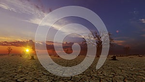 Close up of a tree stump, cracked earth and illegal deforestation against magical sunset, 4K