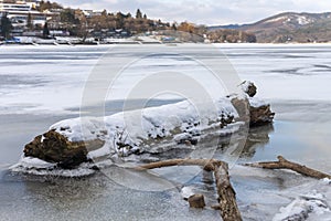 Close up of tree trunk covered by snow in frozen water surface on  Brno Reservoir on river Svratka