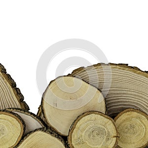 Close-up tree trunks. Tree cross sections. Copy space.