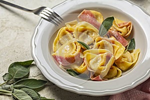 Close-up of trendy two-tonned stuffed italian pasta - tortelloni with ricotta