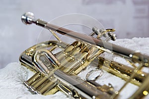 Brass instrument trumpet close up