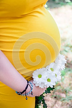 Close up on tummy of pregnant woman, wearing yellow dress, holding in hands bouquet chamomile flowers outdoors, new life concept