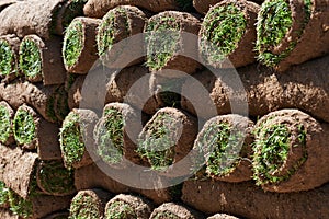 Close Up Of Turf Rolls Waiting To Be Laid As New Lawn