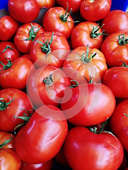 Close Up Turkish Tomatoes at Bazaar