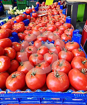 Close Up Turkish Tomatoes at Bazaar