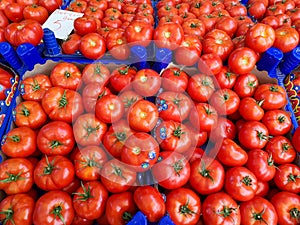 Close Up Turkish Tomatoes at Bazaar