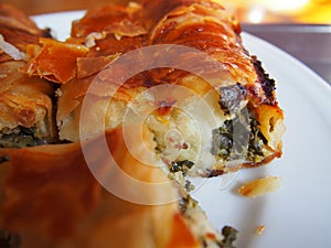 Close up of Turkish water pastry,cheese pastry, su boregi