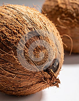 Close Up of Two Brown Coconuts on a White Surface in Natural Lighting
