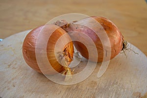 Close-up of two brown onions on wooden table, kitchen, healthy food, vegetarian