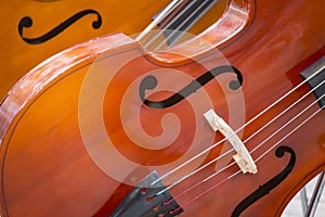 Close-up of two cello. violoncello.