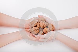 close up, two Children& x27;s hands hold many walnuts, isolated on white background,