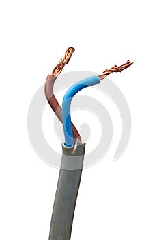 close-up of two core electrical cable isolated