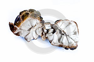 Close up of two cut custard apple or sitaphal or sugar apple isolated on white.