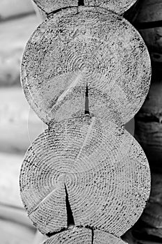 Close up of two cut wood logs, black and white