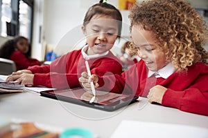 Close up of two kindergarten schoolgirls wearing school uniforms, sitting at a desk in a classroom using a tablet computer and sty photo