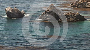 Close up of two migrating whales on the california coast in big sur