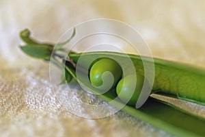 Close up of  two peas in a pod
