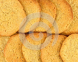 Close up of two rows of homemade peanut butter cookies.