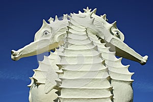Close up of two seahorses structure, Miri, Sarawak