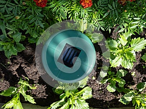 Close-up of the ultrasonic, solar-powered mole repellent or repeller device in the soil in a flower bed. Device with beeping keep