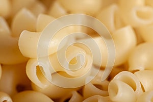 Close-up of uncooked elbow macaroni pasta with selective focus