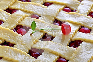 Close-up of uncooked sour cherry pie