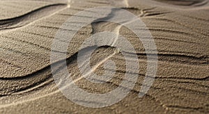 Lighting enhances depth and contour emphasizing the organic design